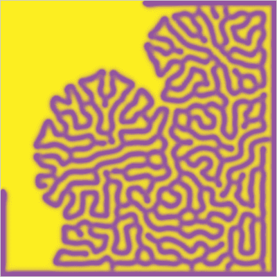 "Reaction Diffusion Algorithm" code example